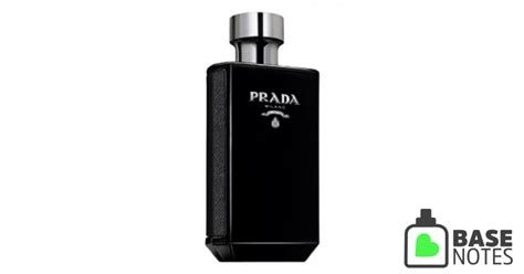 prada l homme basenotes|Prada la homme intense.